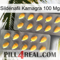 Sildénafil Kamagra 100 Mg cialis2